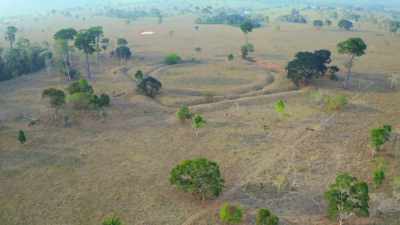 JOSé IS CONSTRUCTING
AN ANCIENT AMAZON - Lost Cities of the Amazon