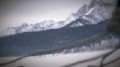 [Josh] A day later,
the bear reappears, - Tales From The Explorers Club