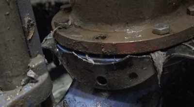 [Josh] I don't know
if those nuts
belong to anything, - Sewer Divers