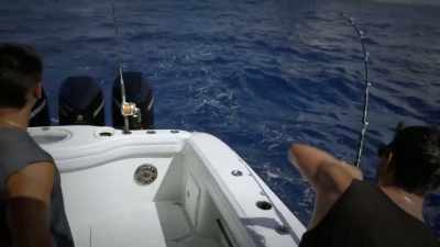 [josh] I don't know
what we got yet, - Deadliest Catch: Bloodline