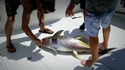 [josh] oh, we're gettin'
a lotta marks here,
about 150. - Deadliest Catch: Bloodline