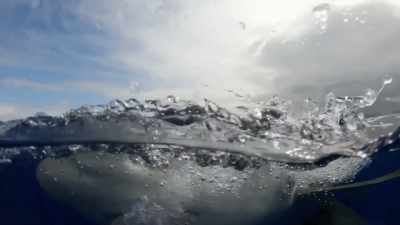 [josh]  together, we're
 fulfilling my dad's dream - Deadliest Catch: Bloodline