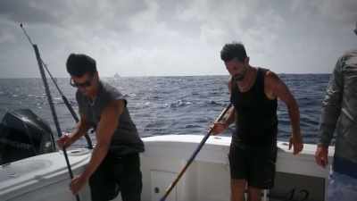 [josh] wow! Look
at that beaut. - Deadliest Catch: Bloodline