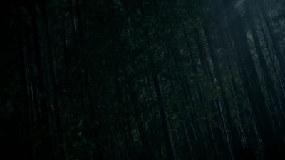 Josie. I hear you. Hold on. - Legacies