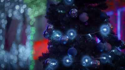 ♪ Joy to the world - The Dog Days of Christmas