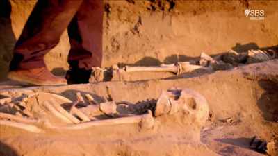 JOZSEF LASZLOVSKY: The two
skeletons, what you can see in... - Curse of the Ancients with Alice Roberts