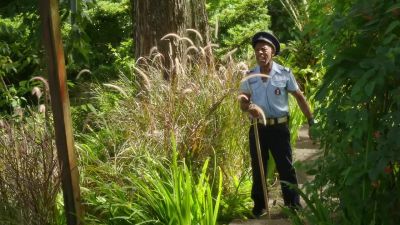 JP, you find anything yet? - Death in Paradise