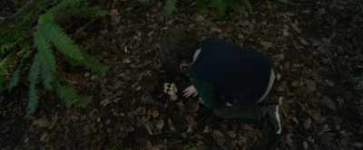 Jude, Jude.
Help me, Jude. - Brahms: The Boy II