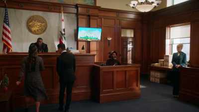 Judge Watkins,
we have video evidence - All Rise
