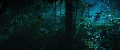 Judging by it's sound,
it's clearly a tiger. - The Pirates: The Last Royal Treasure