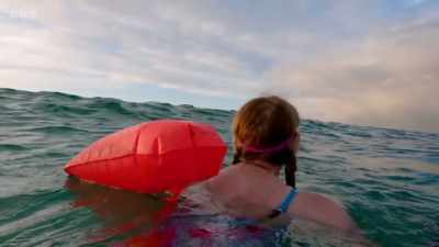 Jules, look what's coming! - Jules and Greg's Wild Swim