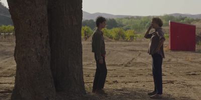 Julie's a pretty complicated woman - 20th Century Women