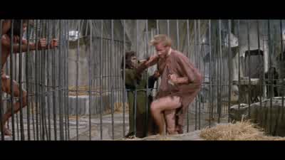 I told you what you'd get! - Planet of the Apes