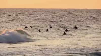 July 10th, - Shark Attack Files