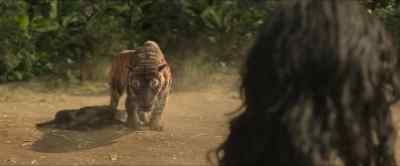 Jump, Paddington!
I'll catch you. - Mowgli: Legend of the Jungle