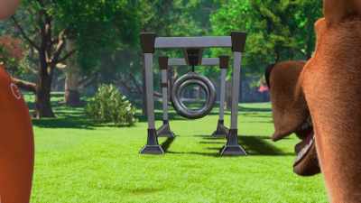 Jump through the rings! - Marmaduke