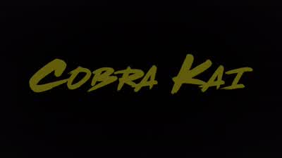 Junbi! Bow. Fighting positions. - Cobra Kai