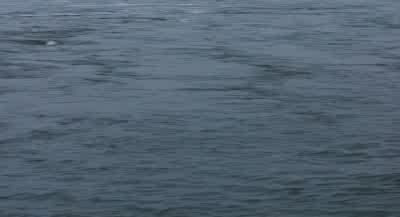June 2002, Han River - The Host