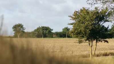 June was absolutely appalled
to find them sunbathing nude, - The Bambers: Murder at the Farm
