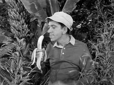 [jungle boy screaming] - Gilligan's Island