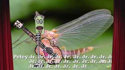 Junior, Junior, Jun... They get it!
Mayflies die a lot! - Absurd Planet