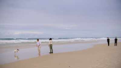 Jupiter, come on.
[ Dog growls ] - Reef Break