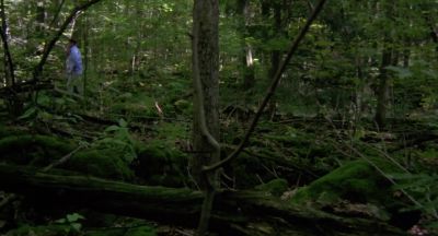 - Just 3 seeds.
- What are you doing? - Wrong Turn