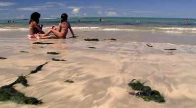 Just 90 minutes later and
two miles down the beach. - Shark Attack Files