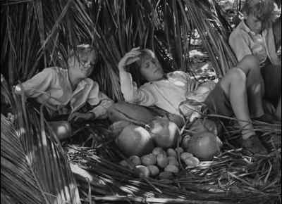 Just a minute.
Be careful. - Lord of the Flies