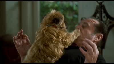 Just a stupid dog. - As Good as It Gets