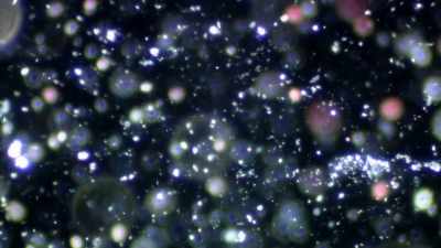 Just at a microscopic level. - One Strange Rock