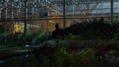 Just be careful, here. - Gotham