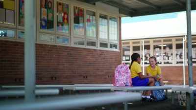 Just before bed,
I read you a storybook, - The School That Tried to End Racism