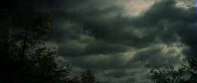 Just biologically it didn'twork, but people kept seeing it. - The Mothman Legacy