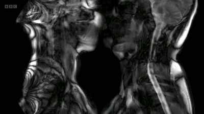 Just catching sight of
your beloved can be enough - The Human Body: Secrets of Your Life Revealed