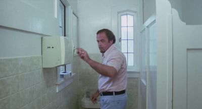Just checking the paper towels - Ants!