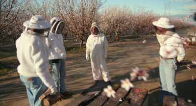 Just dedicated to beekeeping - The Pollinators