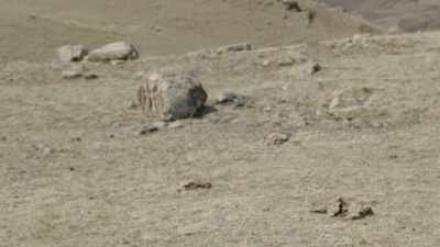 Just don't throw the bison crap - Yellowstone: One-Fifty