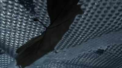Just find him. Find him, Joe. - Seven Types of Ambiguity