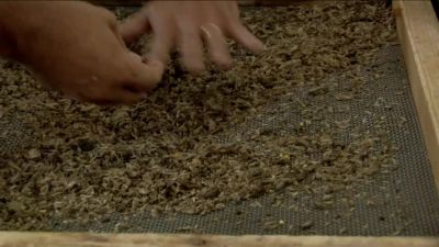JUST FINISH
THAT PART OUT. - Dirty Jobs