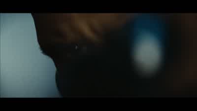 Just fucking do it now! - Hitman