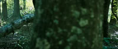 "Just get the fertilizer, Thomas." "Are you sure, guys? - The Maze Runner