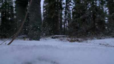 Just gotta find about a one,
one-and-a-half-inch diameter, - Life Below Zero: Next Generation