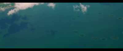 Just imagine large-scale
marine permaculture, - 2040