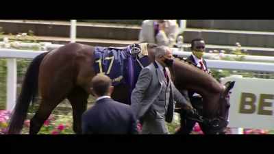 Just imagine that, being a
participant on the biggest stage - Horsepower