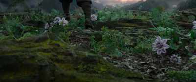 Just in time - A Writer's Odyssey