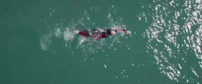 Just keep swimming Just keep swimming - The Meg