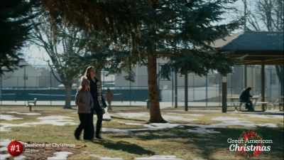 Just make sure you
don't get too close - Destined at Christmas