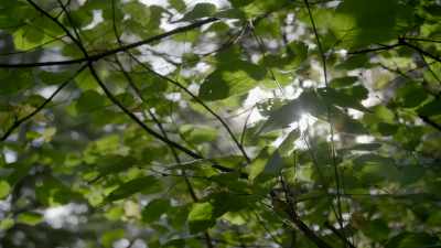 Just outside Olympia, Washington,
sits an almost otherworldly site... - Secrets of the Underground