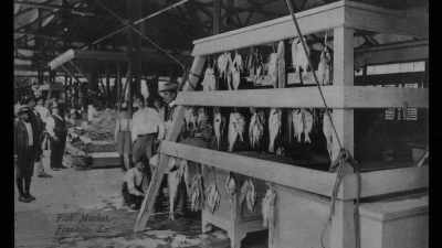 Just plain, chopped-off fish heads - Louis Armstrong's Black & Blues